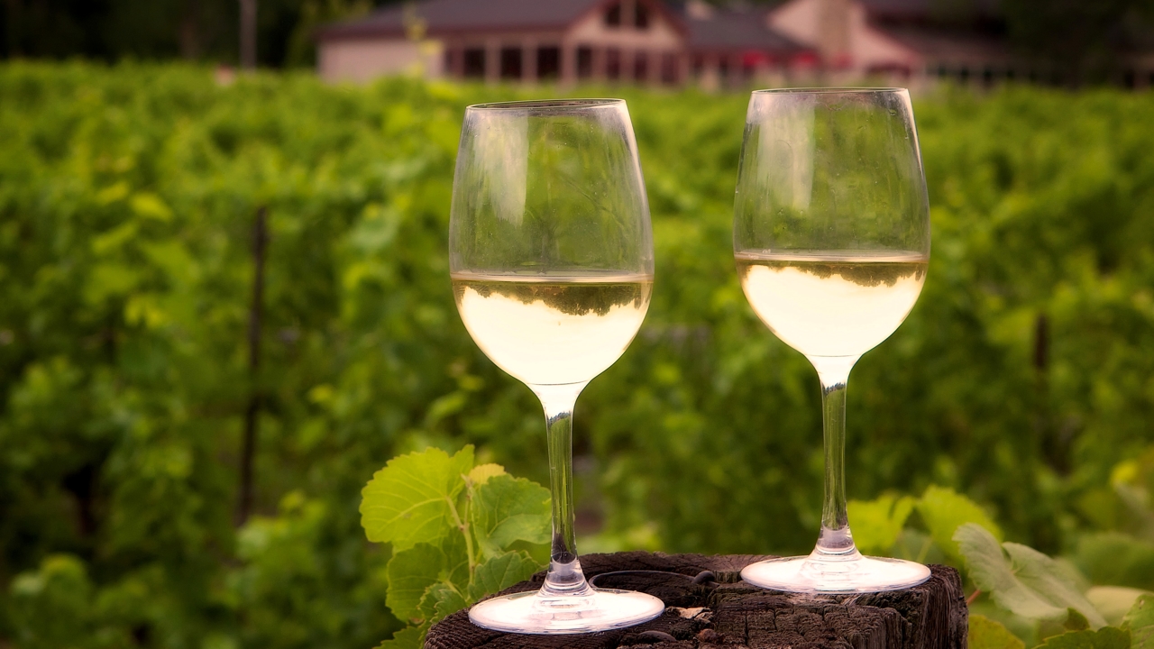 Pourquoi de plus en plus d’étrangers viennent-ils faire du vin en Italie ?