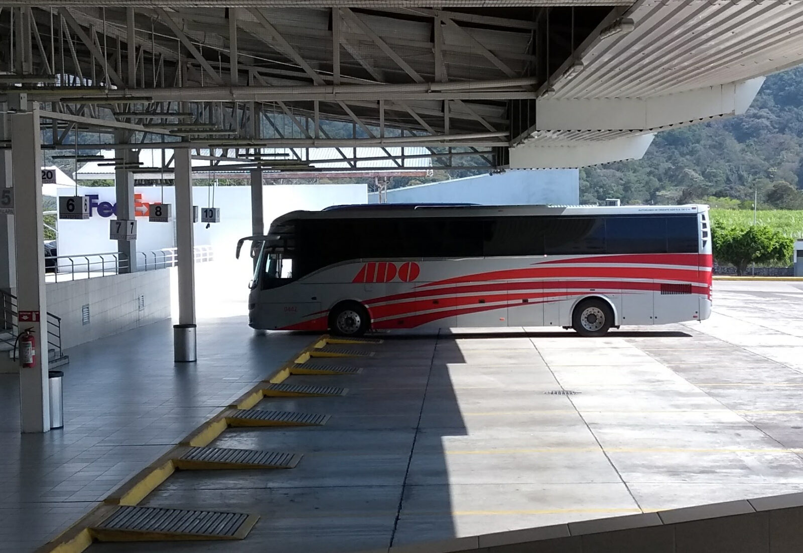 ADO intègre 67 nouveaux bus pour étendre sa couverture