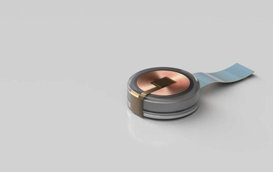 Neuralink Blindsight