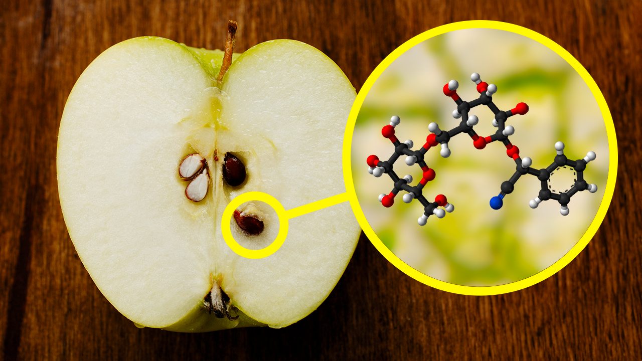 Semi mela tossici cianuro amigdalina