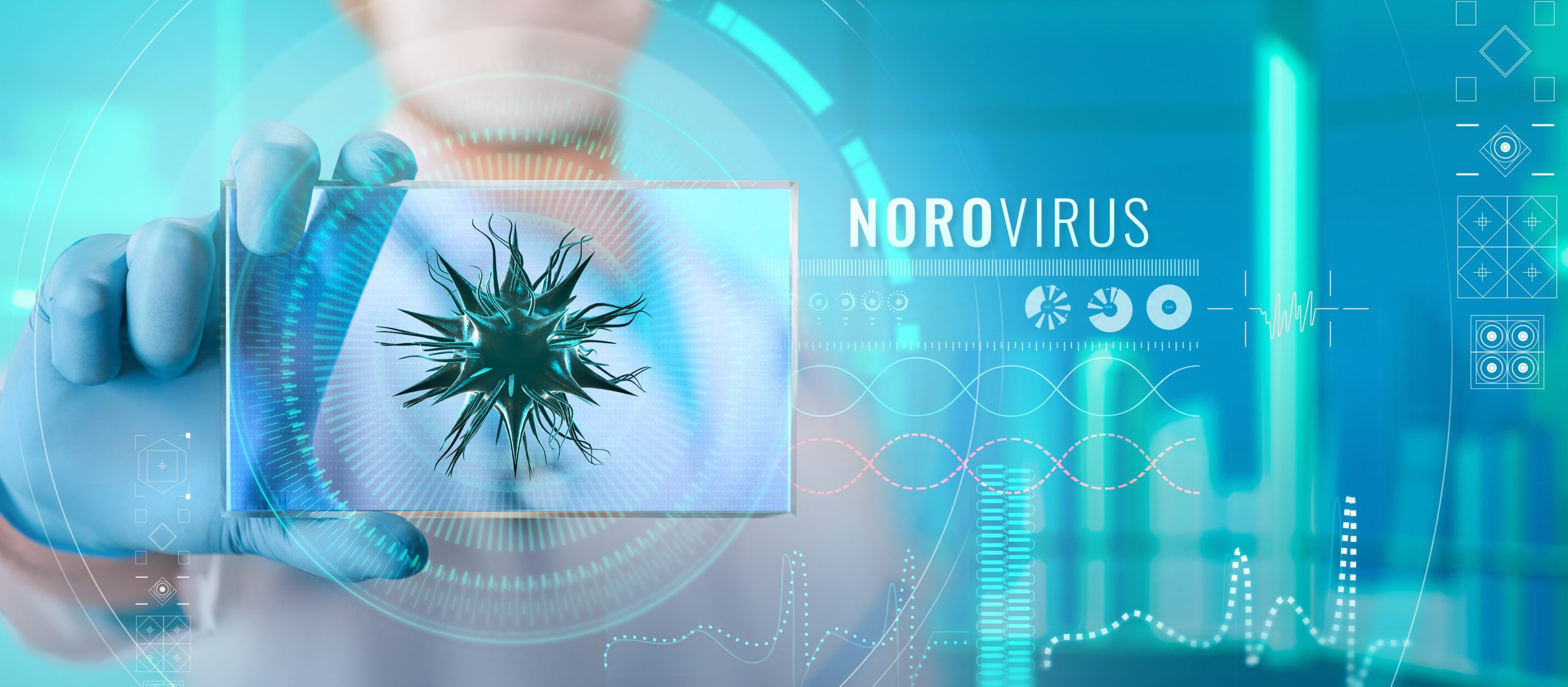 norovirus