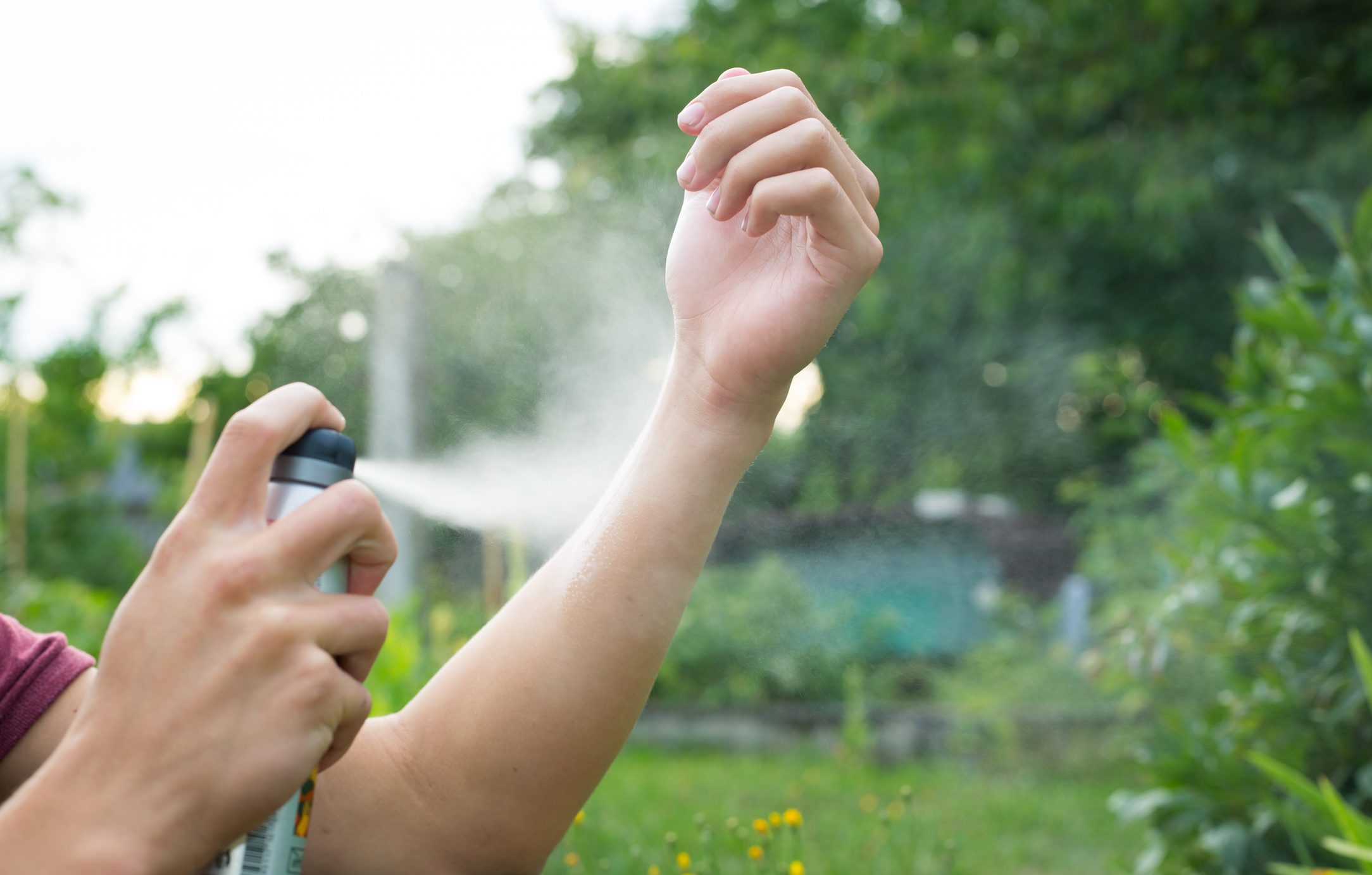 Spray anti-moustique chimique