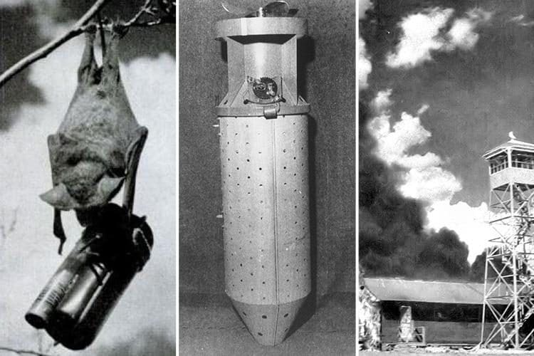 Bat Bomb