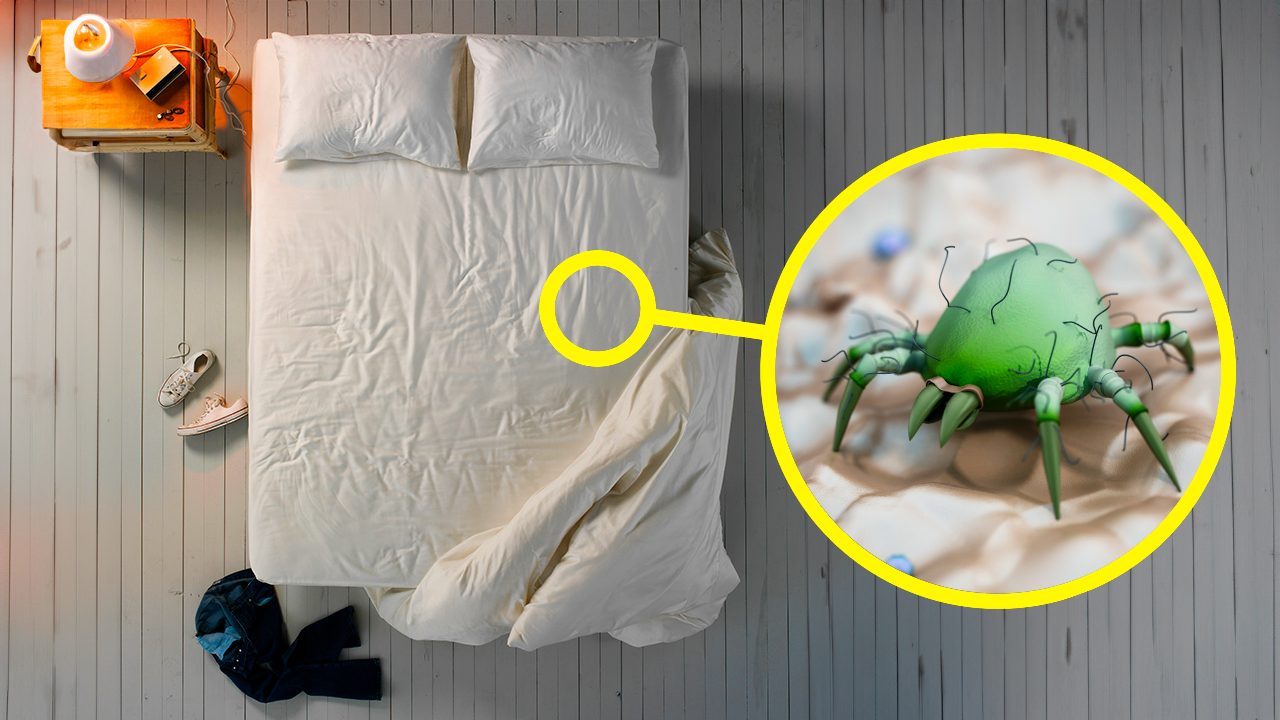 letto disfatto acari