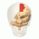 virage frontal