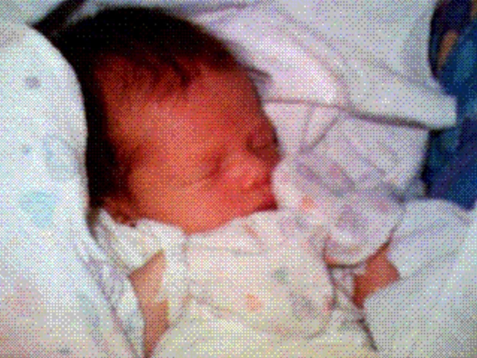 Prima foto condivisa con il cellulare