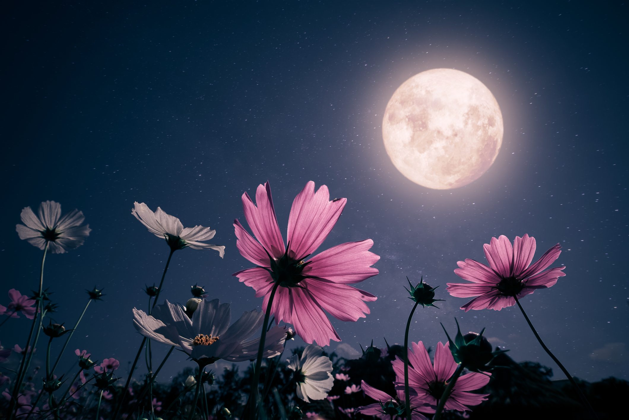 nomi lune piene