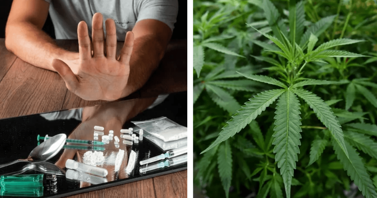 C'est le pays où ils ont décriminalisé les drogues : un militant raconte pourquoi il n'y est plus favorable