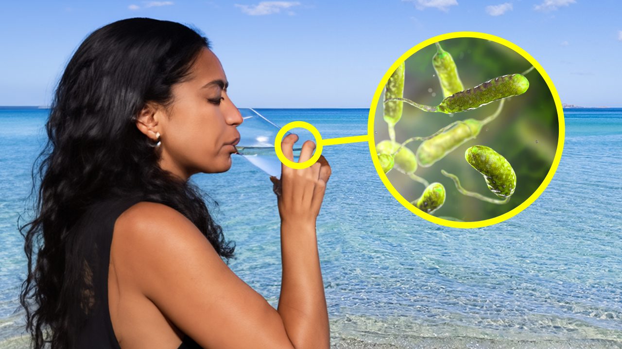 Perche non possiamo bere l'acqua di mare