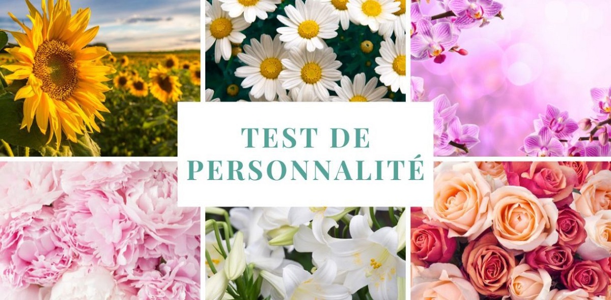 test de personnalité