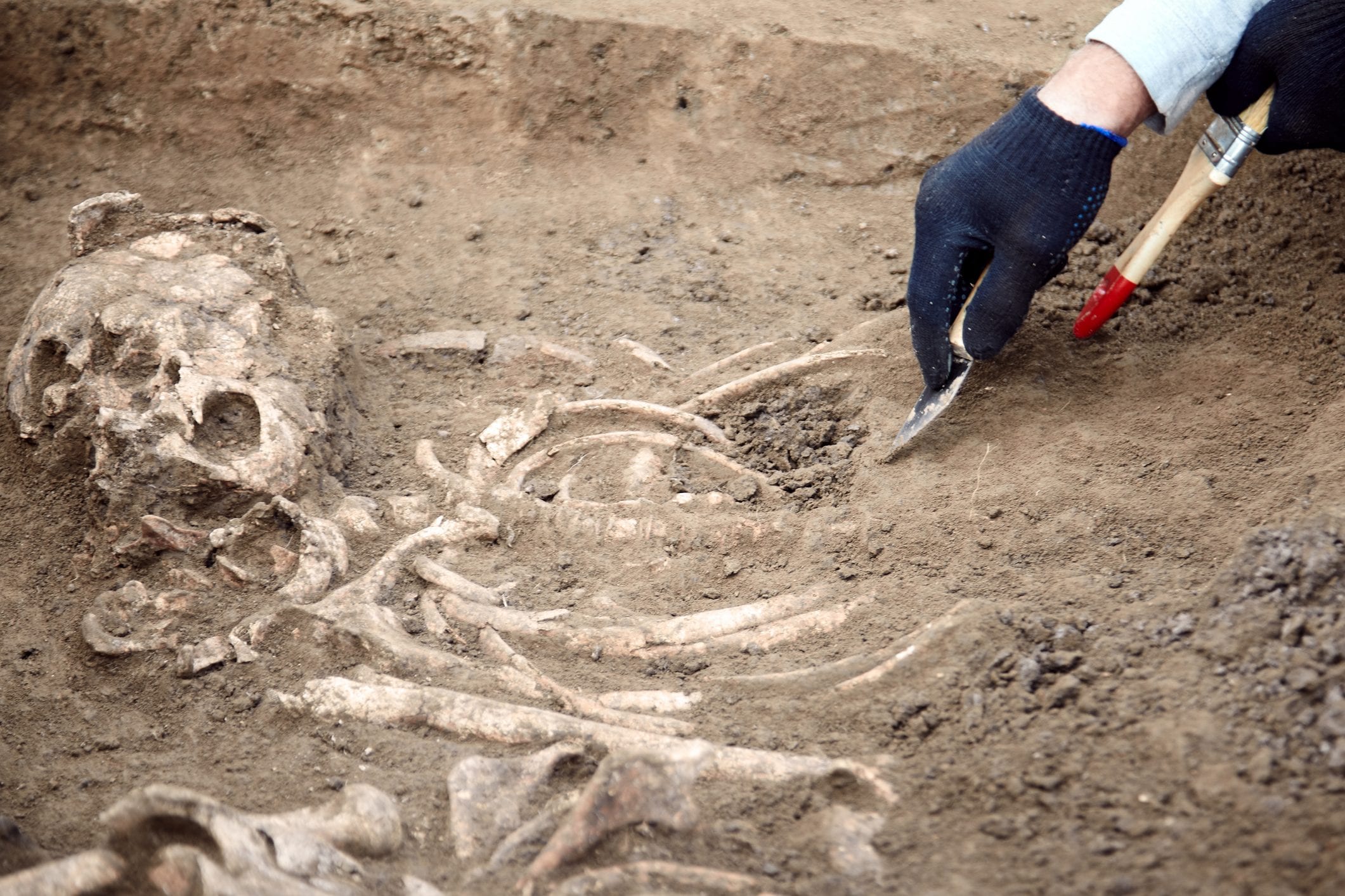 Scoperto osso fossile bambino Neanderthal sindrome di Down