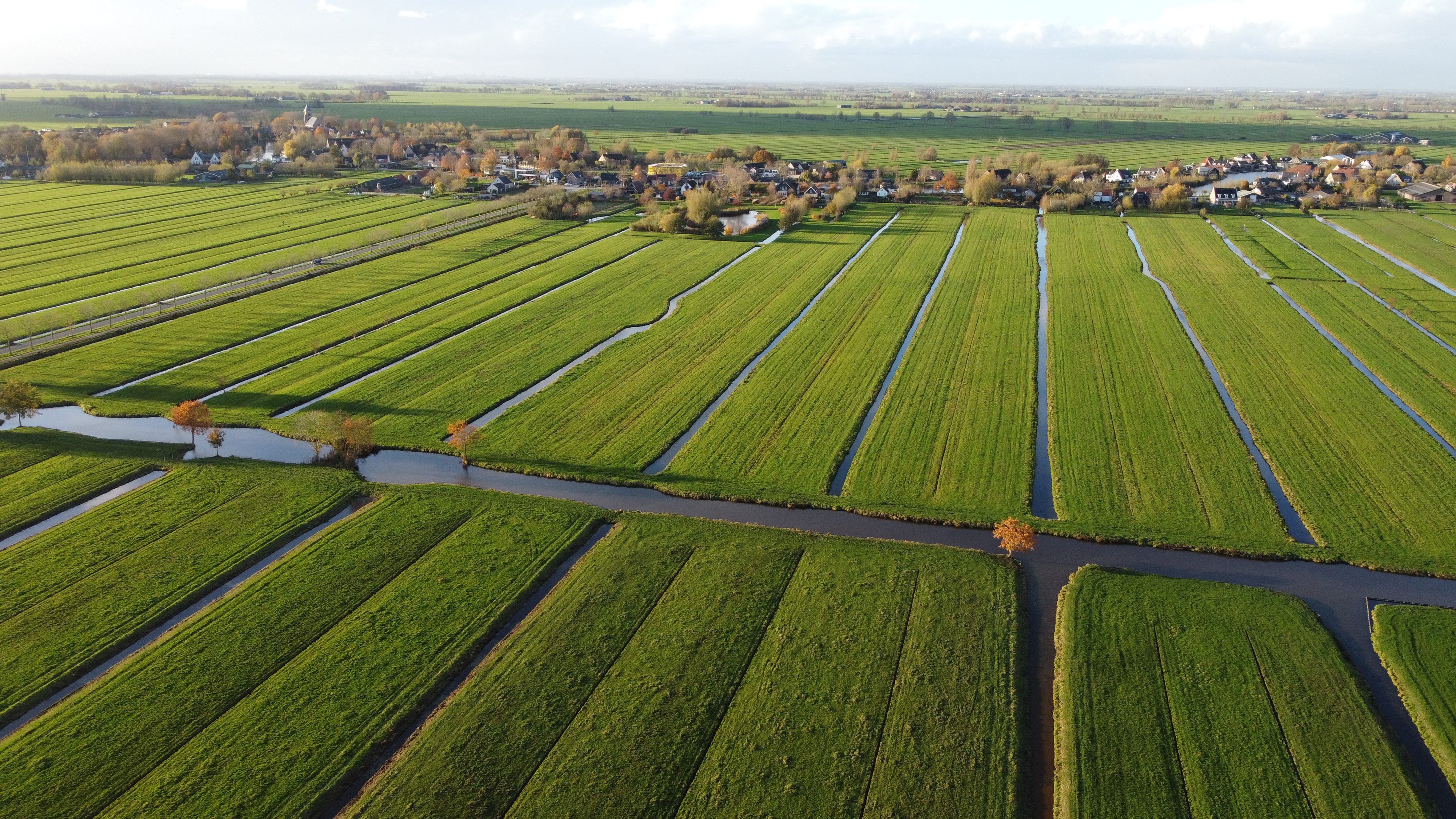 polders hollandais