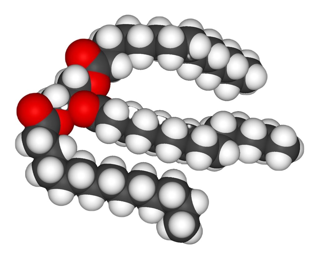Beurre à partir de co2 start up bill gates beurre synthétique triglycérides structure chimique