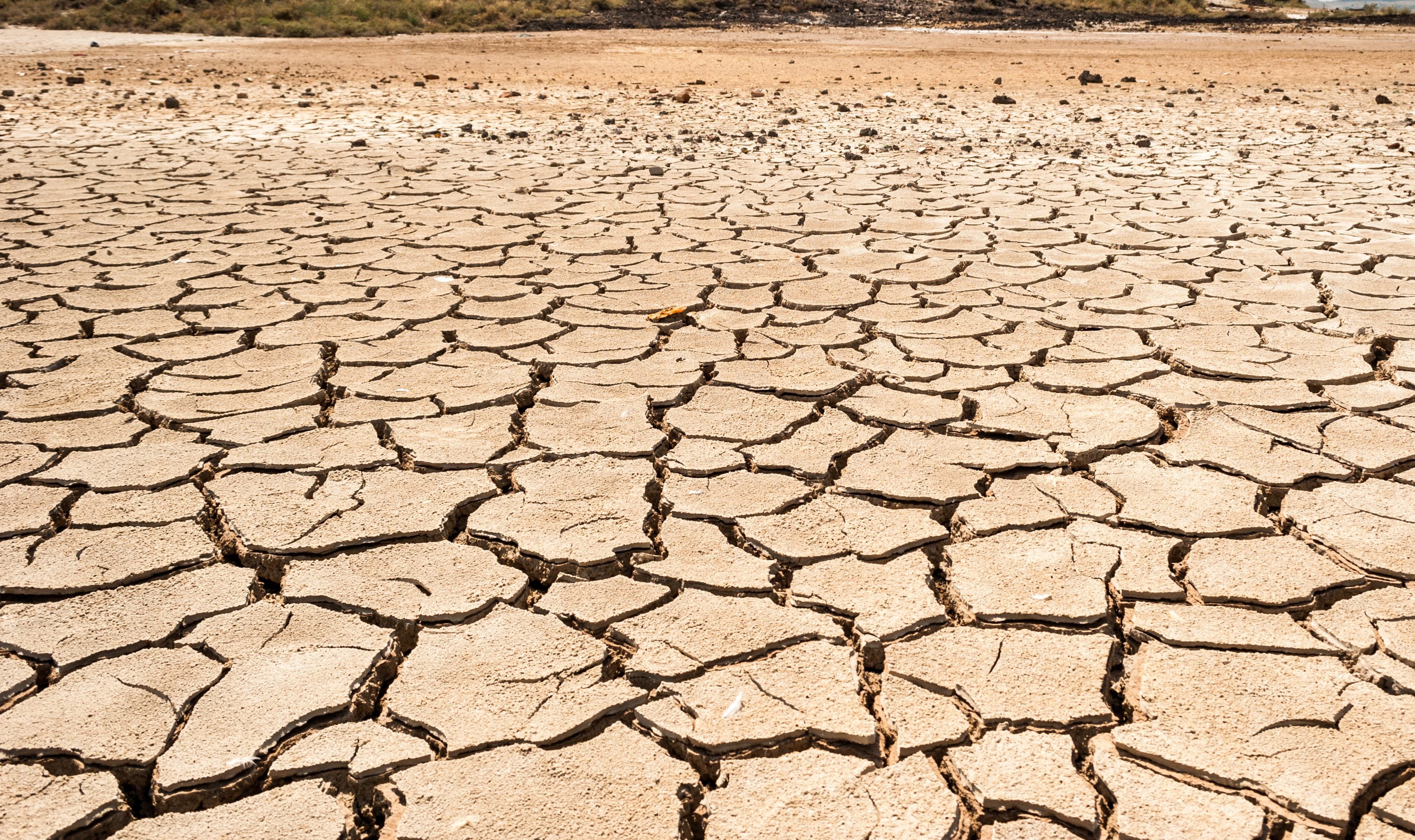 Sécheresse Sicile été