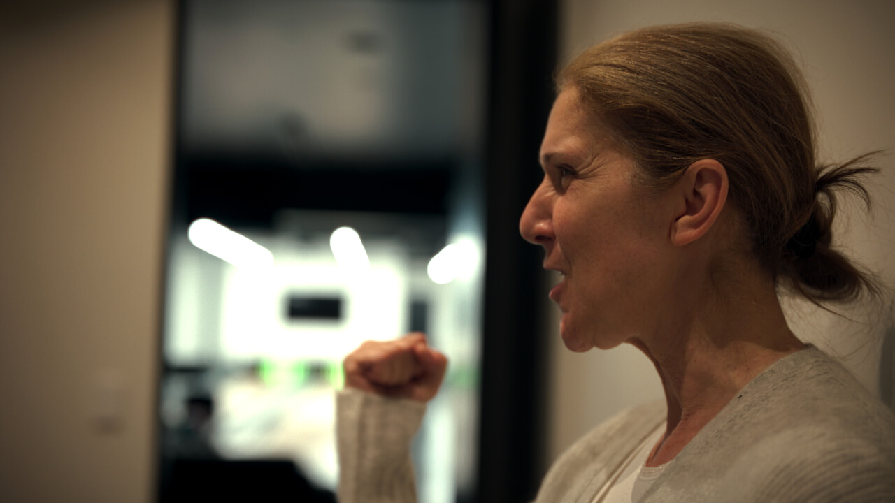 Ce que nous apprend le documentaire sur Céline Dion