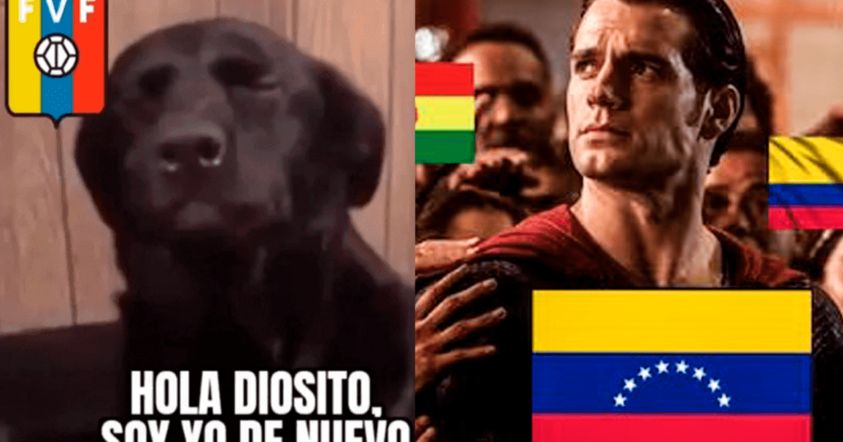 Vinotinto Memes : regardez les images les plus drôles de l'élimination du Venezuela de la Copa América 2024