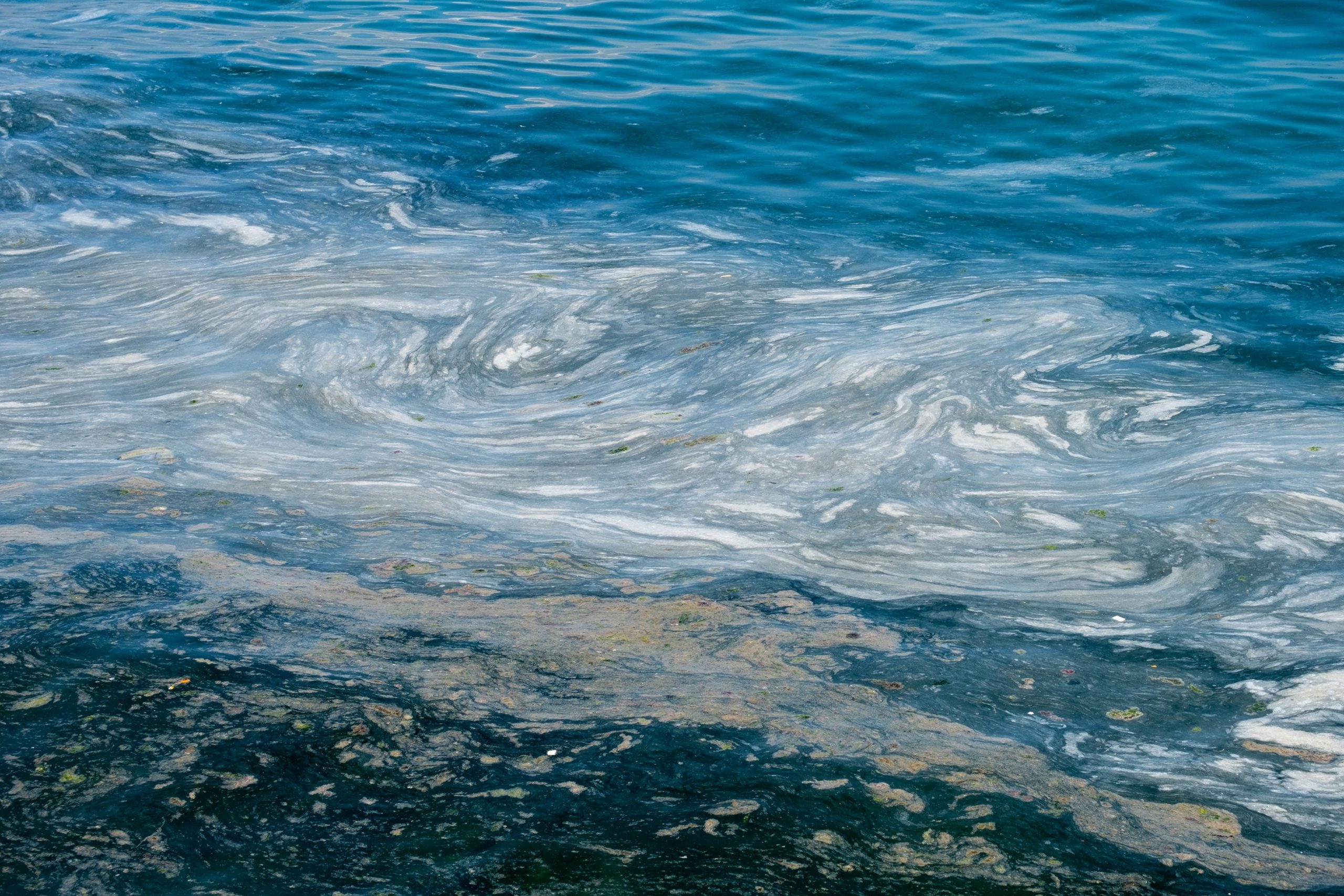 Mucillagini nel Mare Adriatico