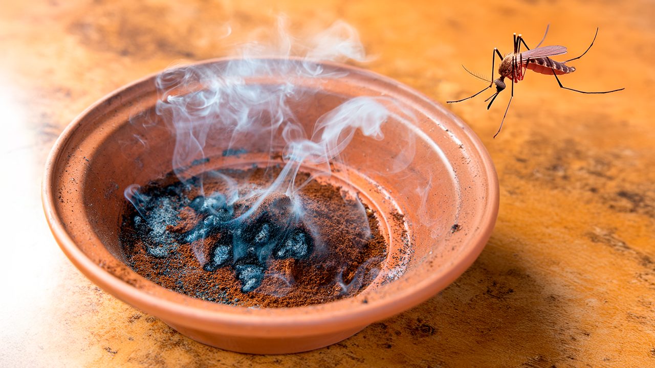 caffe e zanzare bruciare le allontana