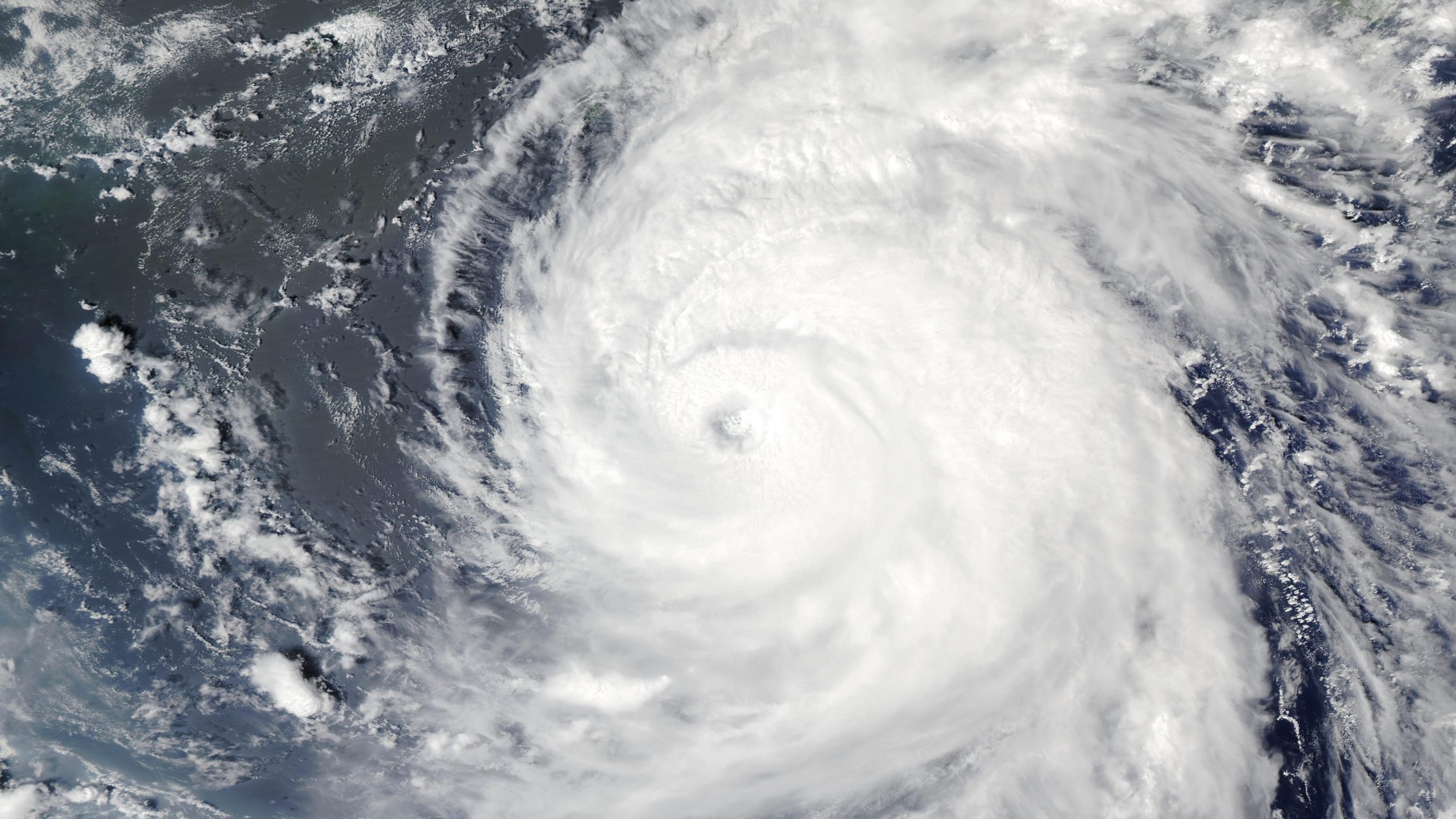 Tifone Shanshan Giappone