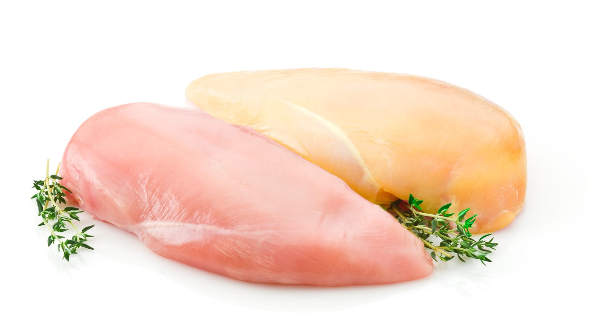 pollo giallo pollo bianco rosa differenze