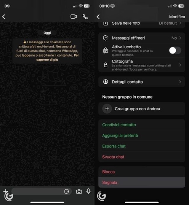 Signaler un contact sur WhatsApp