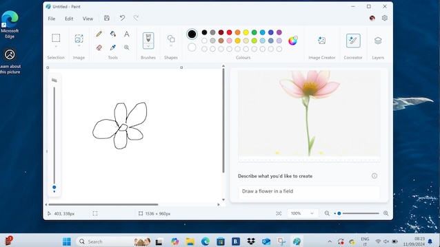 Peinture cocréatrice