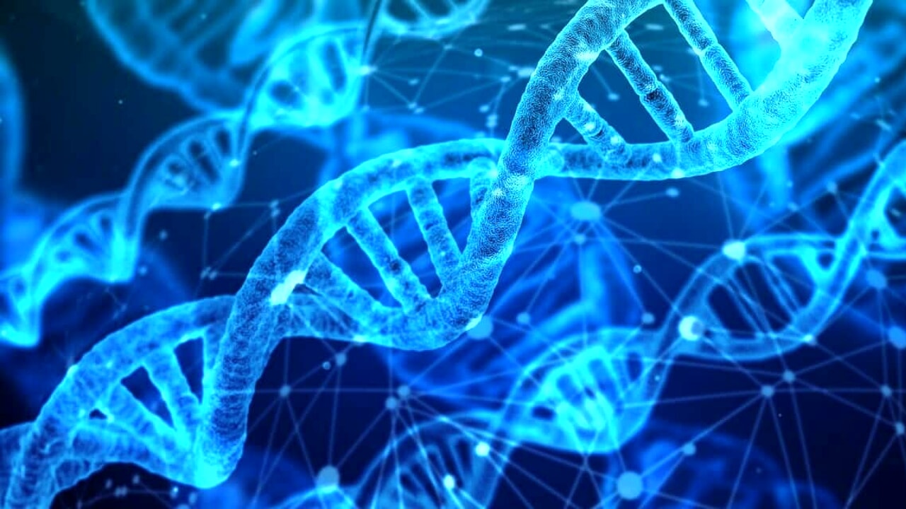 La phrase qui déverrouille la « fabrique à ADN »