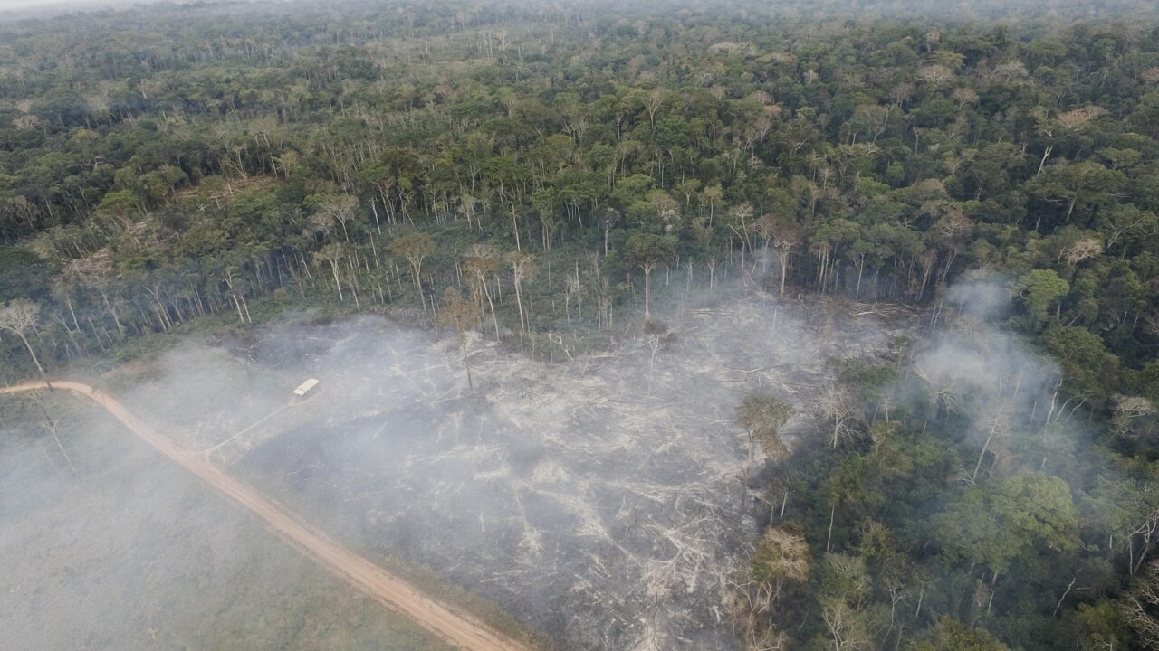 Le Parti populaire demande le report de la loi sur la déforestation