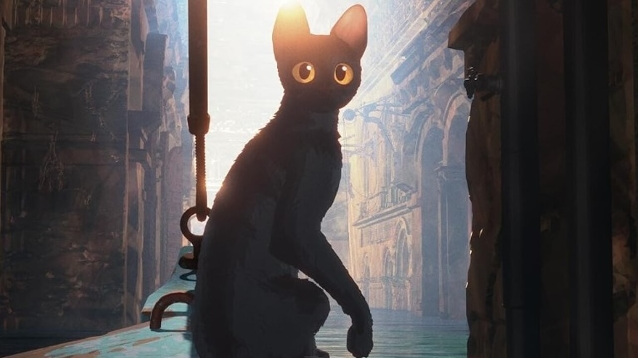 Un chat « réfugié climatique » pourrait remporter un prix du cinéma européen