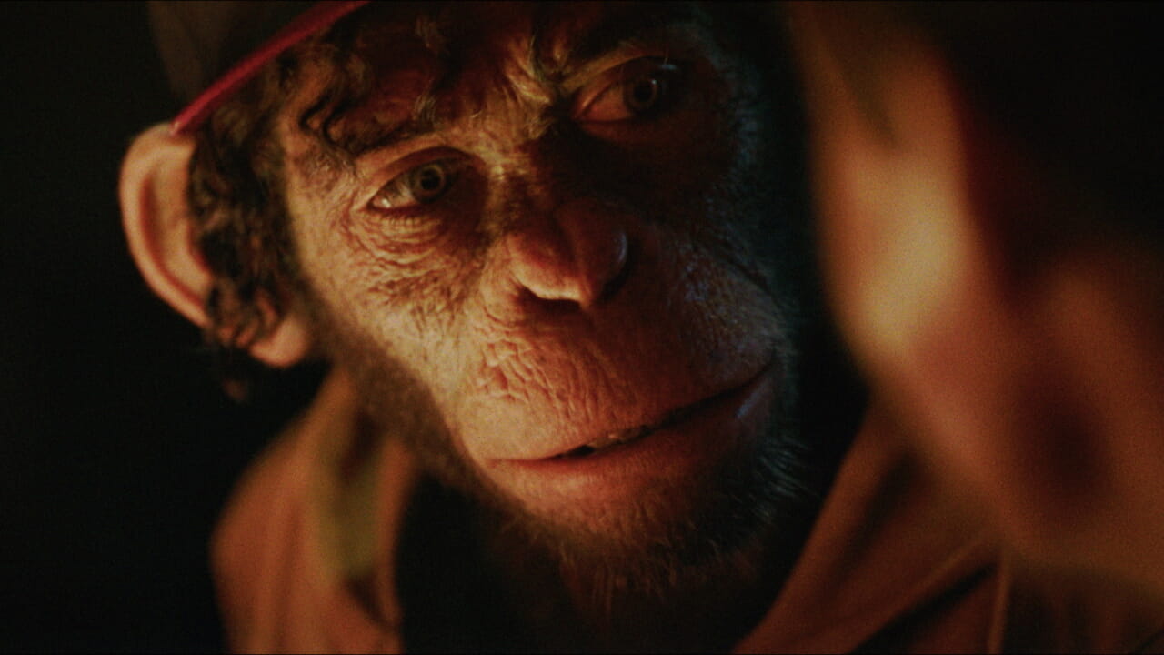 Better Man, le biopic sur la vie de Robbie Williams vous laissera sans voix