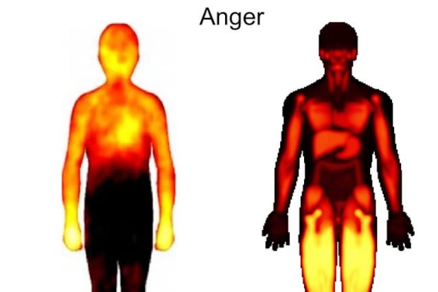 cartographie corporelle de la colère