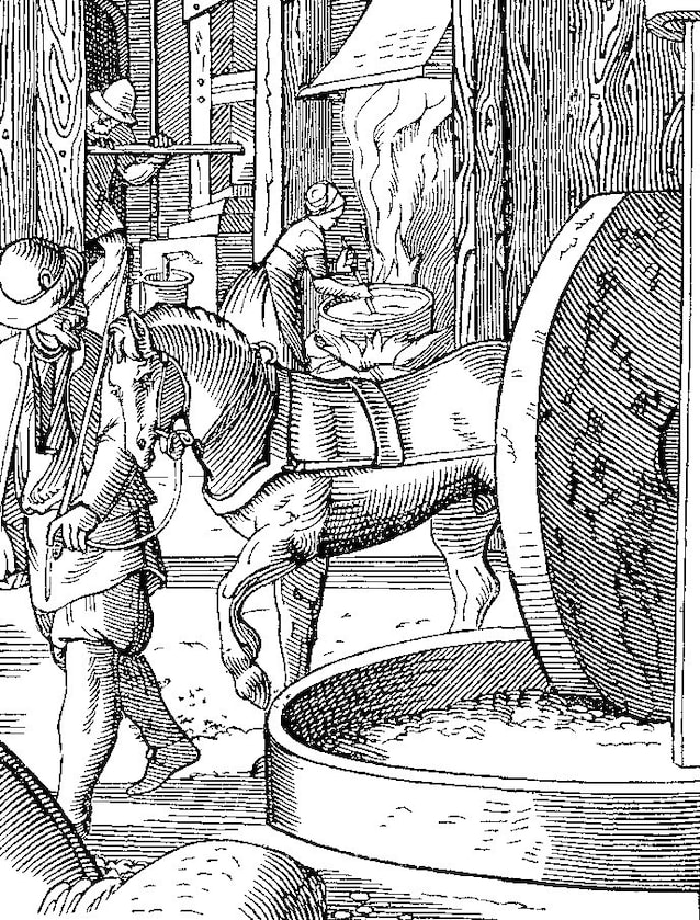 La production de l'huile, gravure du XVIe siècle
