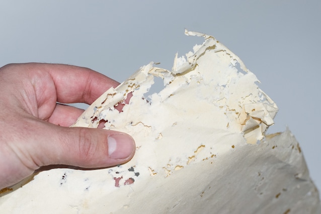 Papier mangé par les poissons d'argent
