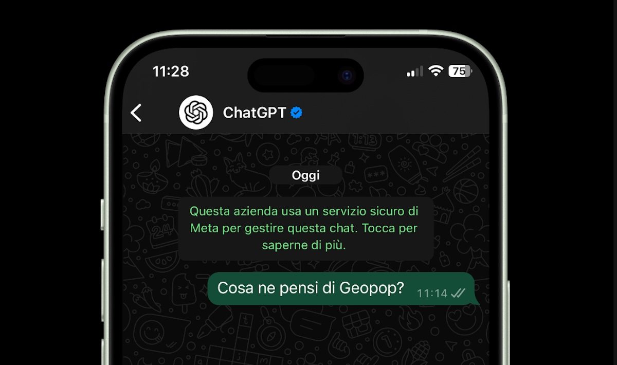 Immagine
