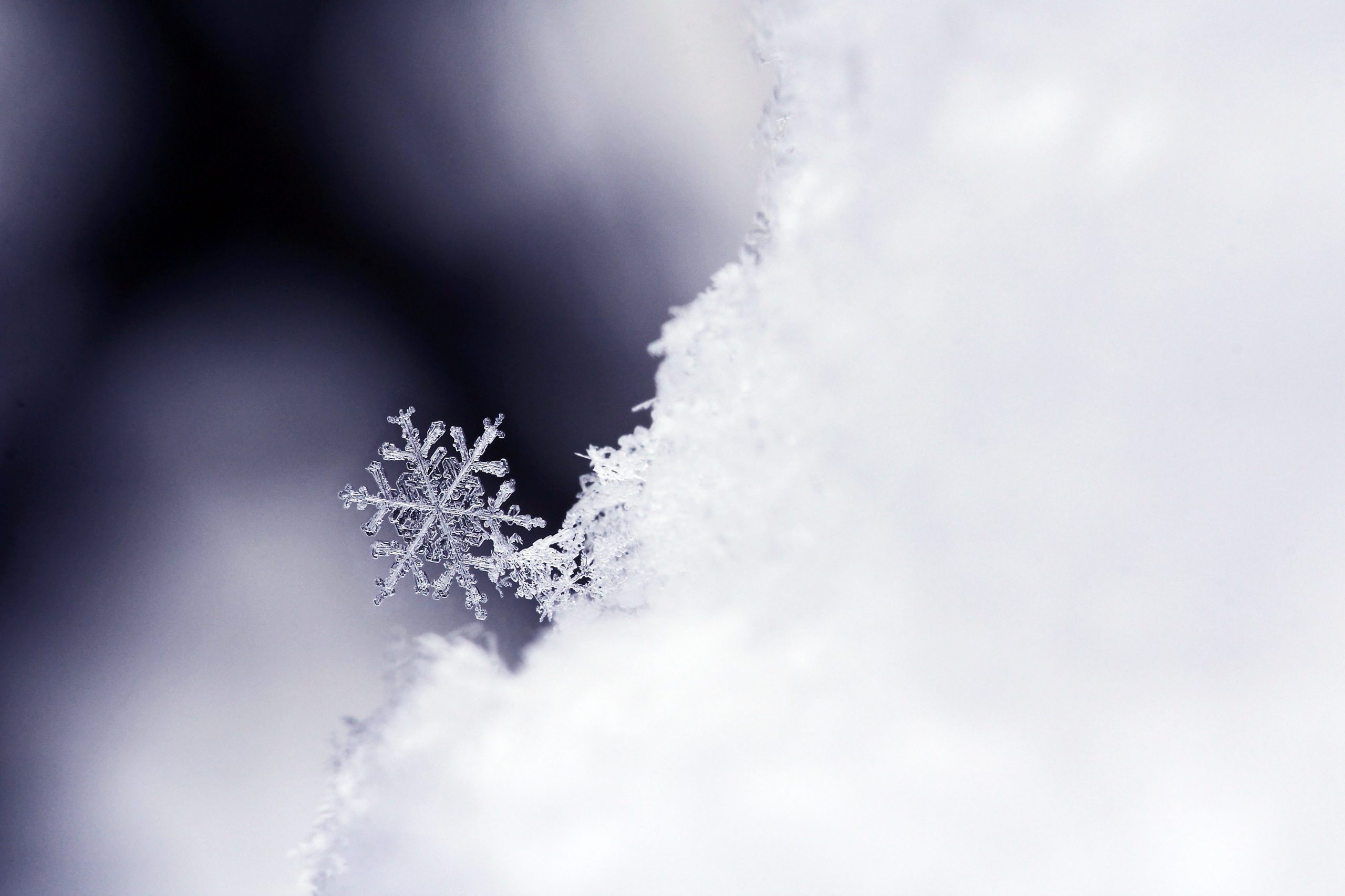 Ghiaccio trasparente neve bianca