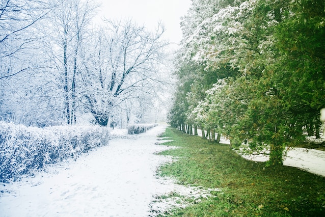 Hiver et printemps