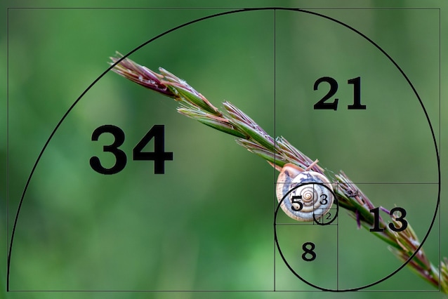 Mathématiques dans la nature