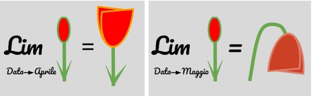 Lorsque la date tend en avril, la tulipe a tendance à fleurir. Lorsque la date tend en mai, la tulipe a tendance à sécher