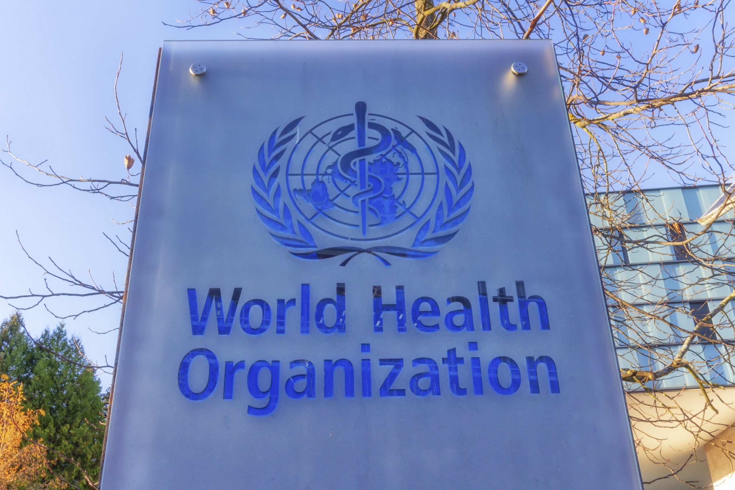 WHO OMS organizzazione mondiale sanita