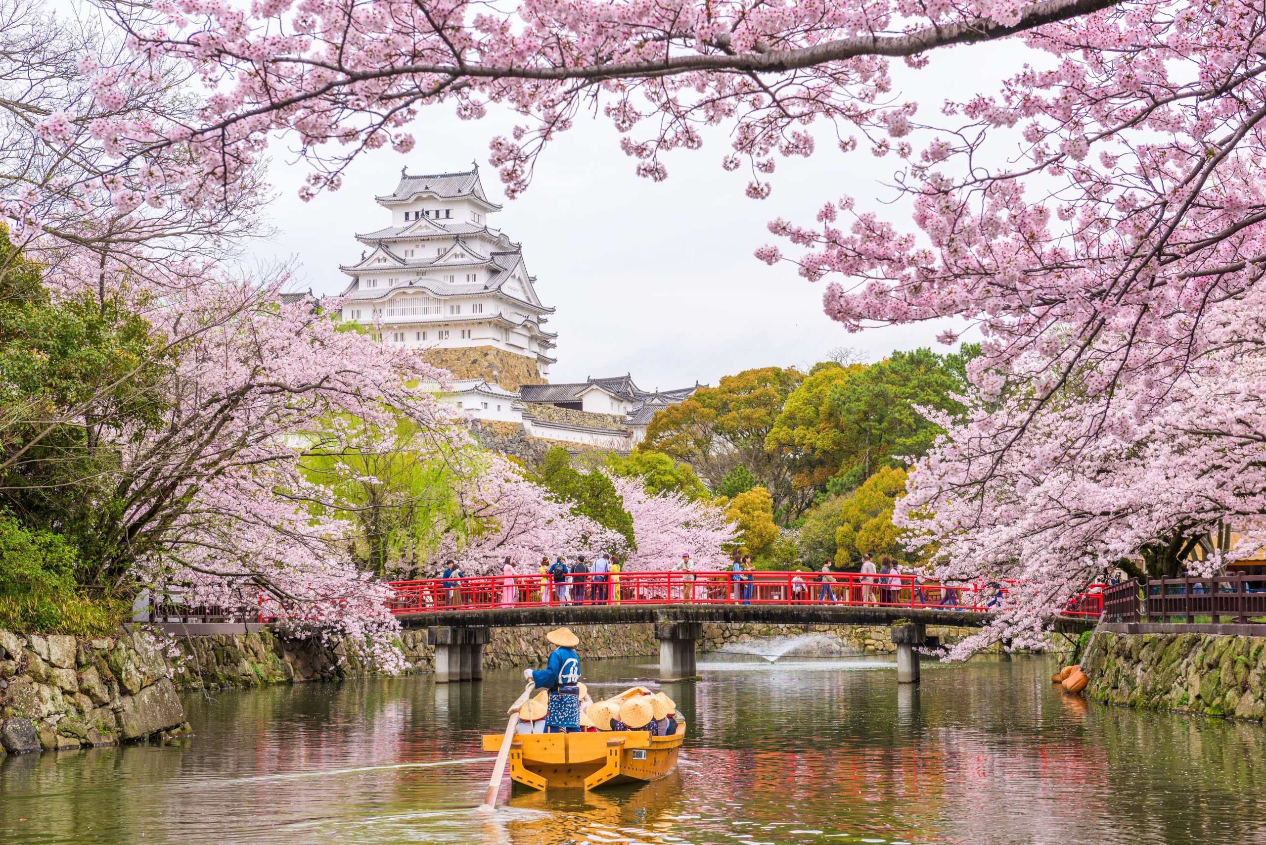 hanami
