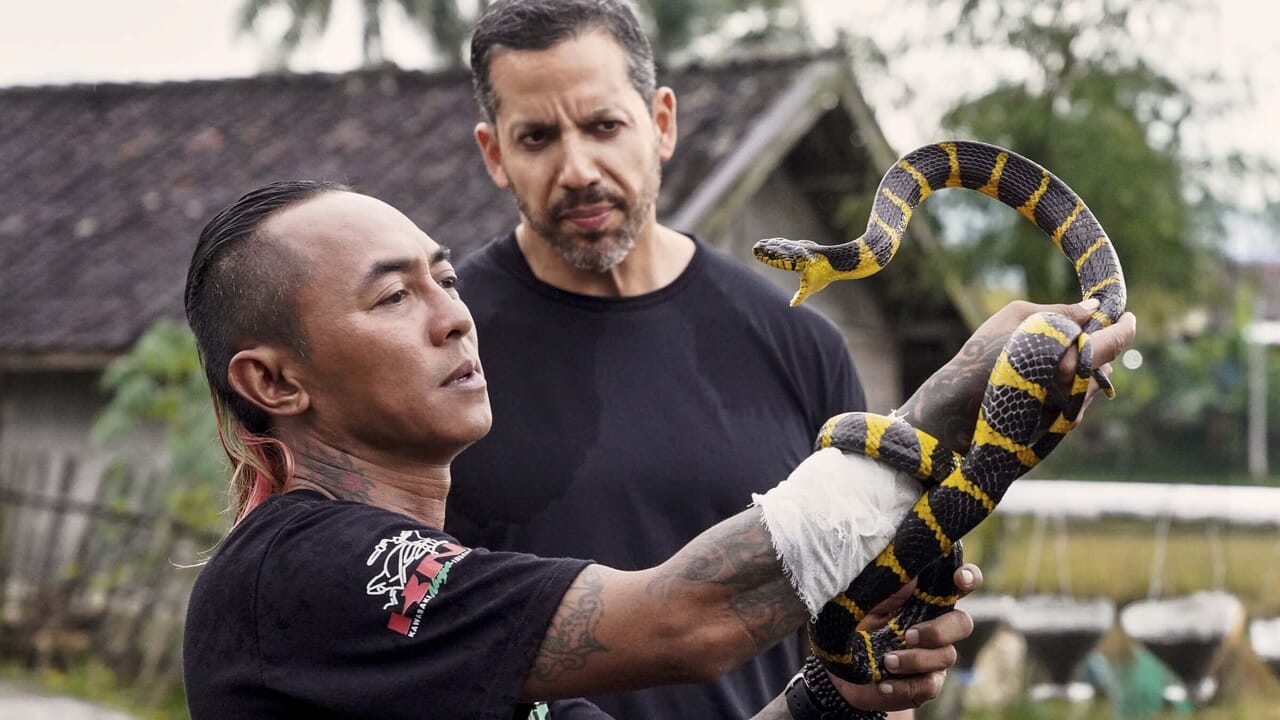 David Blaine: Ne le faites pas à la maison, la nouvelle série sur Disney +: Trailer, Terrain et quand il sort