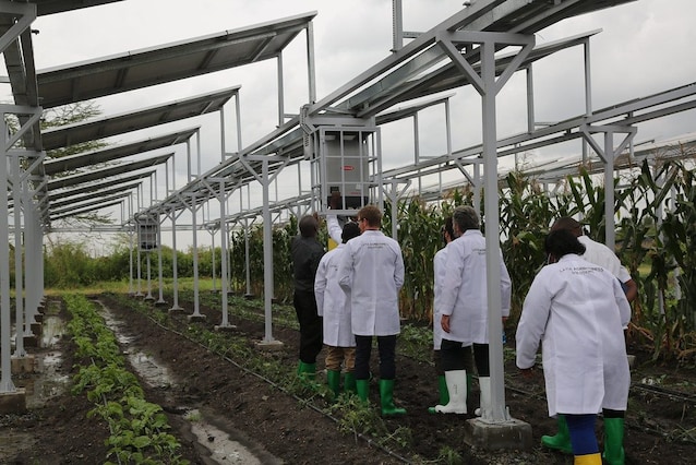 Panneaux solaires agrivoltaïques