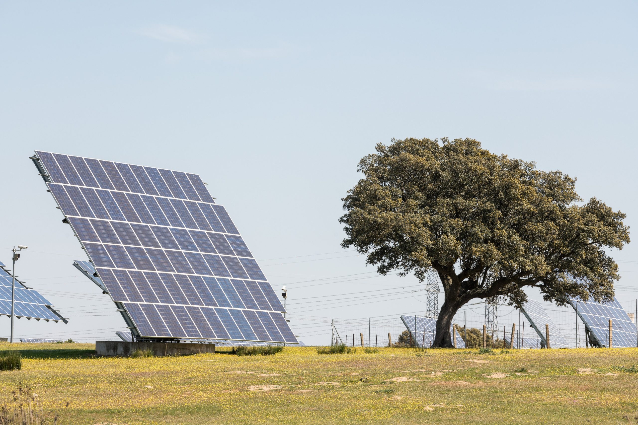 blackout spagna rinnovabili