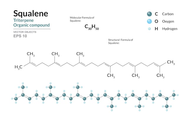 squalène