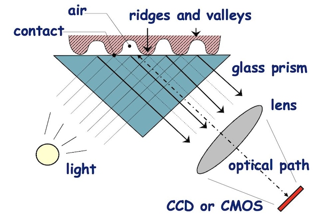 Empreinte digitale du scanner optique