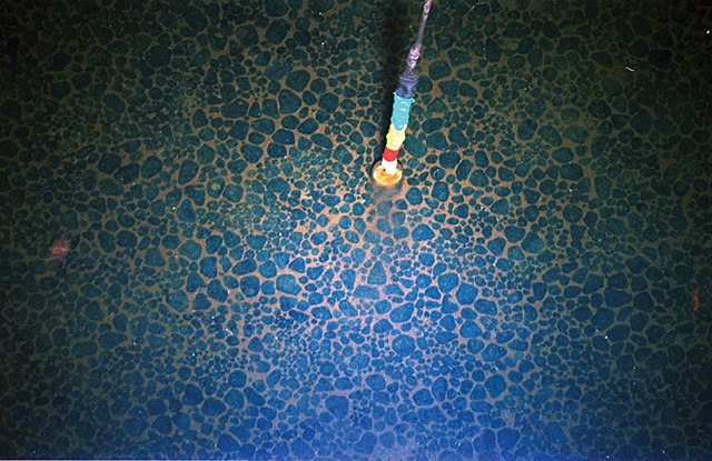 Un lit de nodules polymentés en offshore des îles Cook. La taille des nodules sur la photo varie de 2 à 10 centimètres. Crédit: Wikimedia Commons.