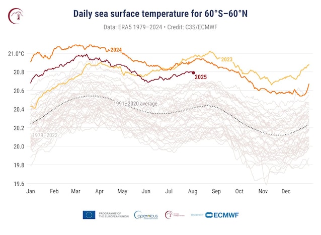 températures de la mer