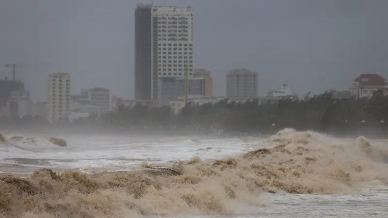 tifone-Kajiki-vietnam