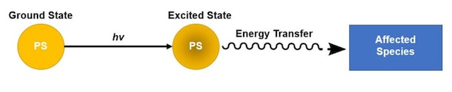 schéma de photosensibilisation