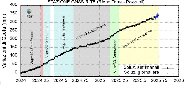 Bradisism-champion-champion